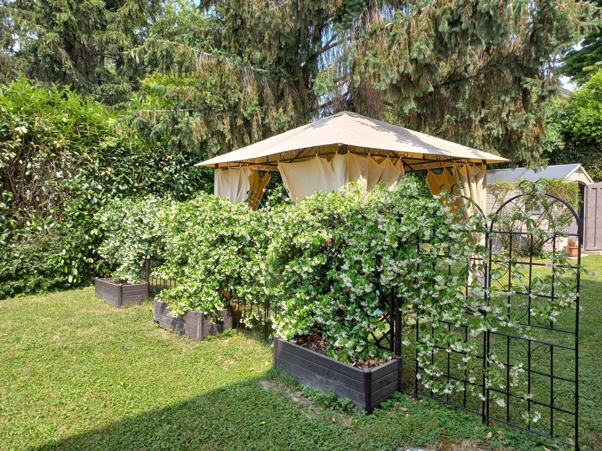 Le Magnolie