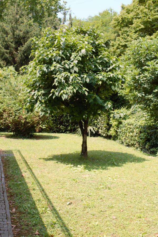 Le Magnolie Apartamento Mestre